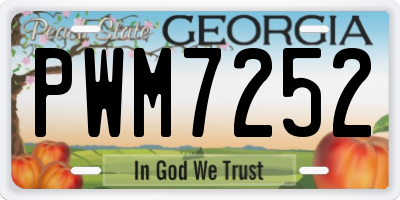 GA license plate PWM7252