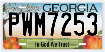 GA license plate PWM7253