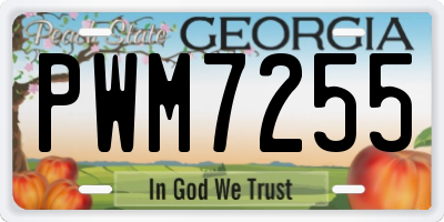 GA license plate PWM7255