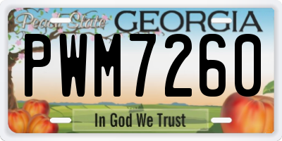 GA license plate PWM7260