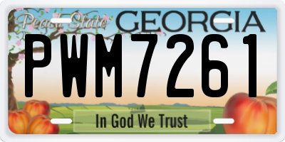 GA license plate PWM7261