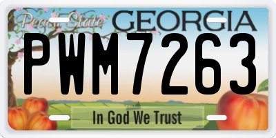 GA license plate PWM7263