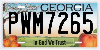 GA license plate PWM7265