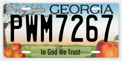 GA license plate PWM7267
