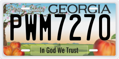 GA license plate PWM7270