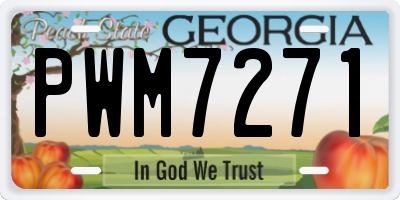 GA license plate PWM7271
