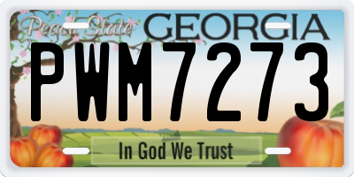 GA license plate PWM7273