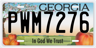 GA license plate PWM7276