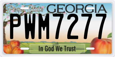 GA license plate PWM7277