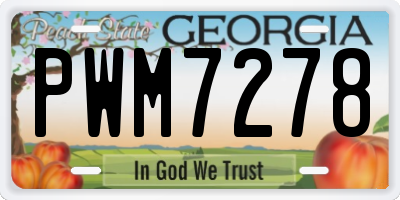 GA license plate PWM7278