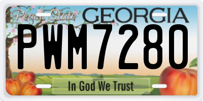 GA license plate PWM7280