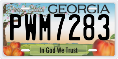 GA license plate PWM7283