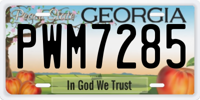 GA license plate PWM7285