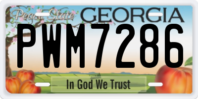 GA license plate PWM7286