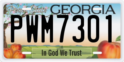 GA license plate PWM7301
