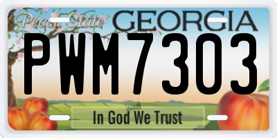 GA license plate PWM7303