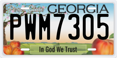 GA license plate PWM7305