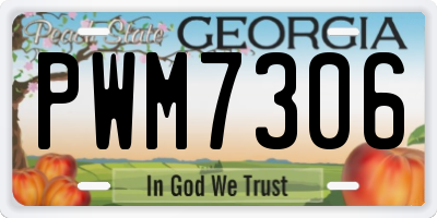 GA license plate PWM7306