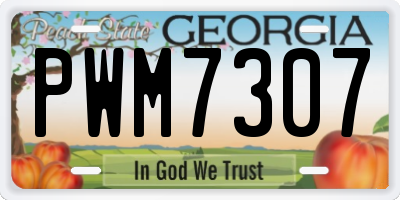 GA license plate PWM7307