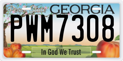 GA license plate PWM7308