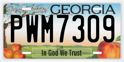 GA license plate PWM7309