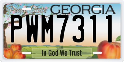 GA license plate PWM7311
