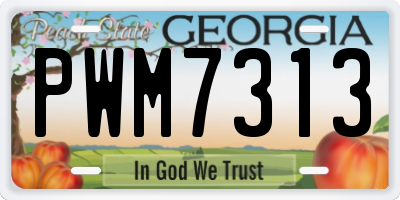 GA license plate PWM7313