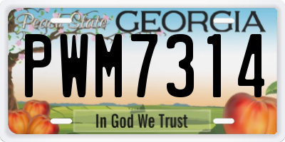 GA license plate PWM7314