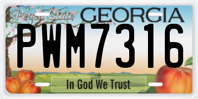 GA license plate PWM7316