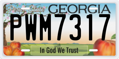 GA license plate PWM7317