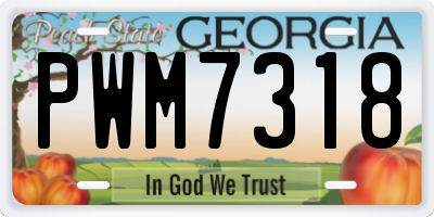 GA license plate PWM7318