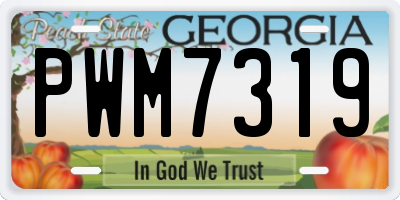 GA license plate PWM7319