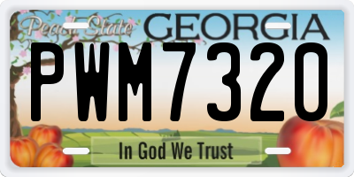 GA license plate PWM7320