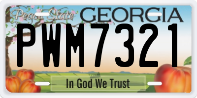 GA license plate PWM7321