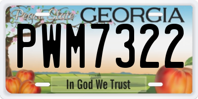 GA license plate PWM7322