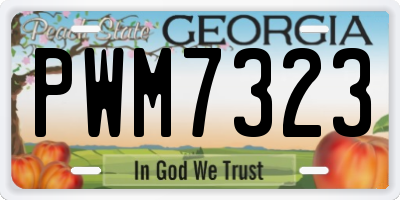 GA license plate PWM7323