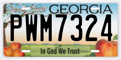 GA license plate PWM7324