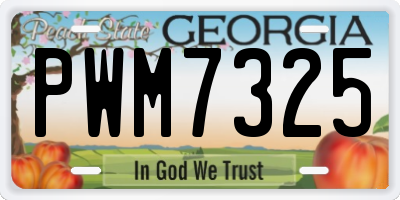 GA license plate PWM7325
