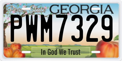 GA license plate PWM7329