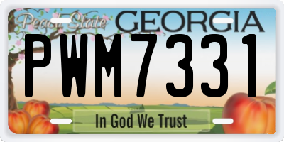 GA license plate PWM7331