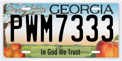 GA license plate PWM7333