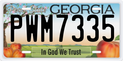 GA license plate PWM7335
