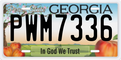 GA license plate PWM7336