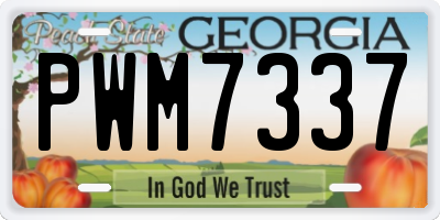 GA license plate PWM7337
