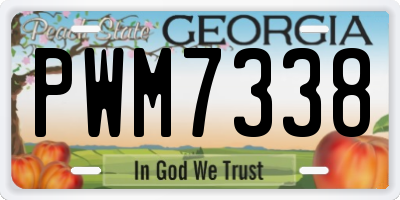 GA license plate PWM7338