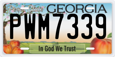 GA license plate PWM7339