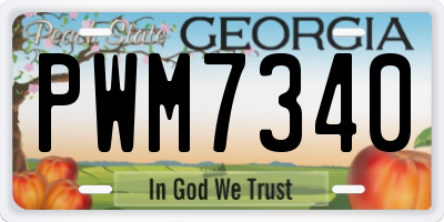 GA license plate PWM7340
