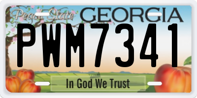 GA license plate PWM7341