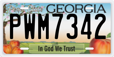 GA license plate PWM7342