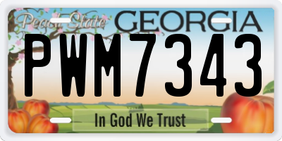 GA license plate PWM7343